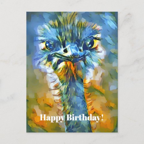 Colorful Ostrich Bird Birthday Postcard