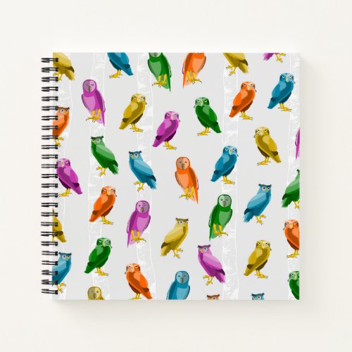Colorful owl bird pattern notebook