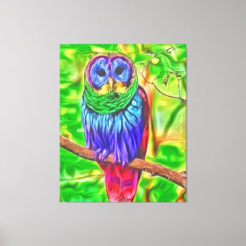 Colorful Owl  Canvas Print