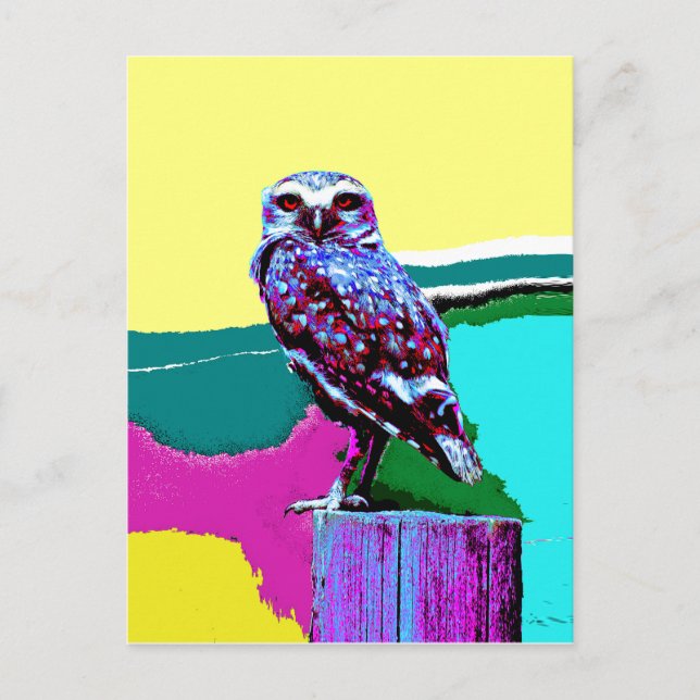 Colorful Owl on a post Posterization Postcard (Front)