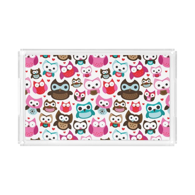 colorful owl pattern acrylic tray (Front)