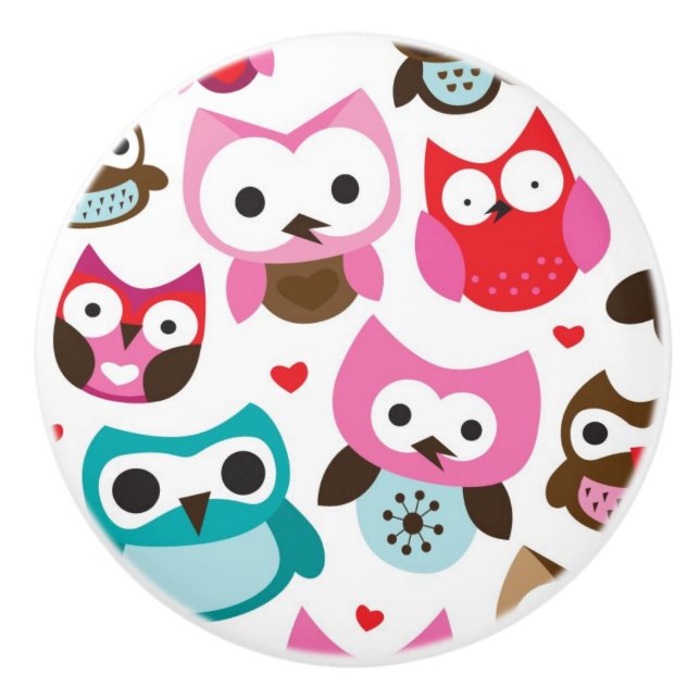 colorful owl pattern ceramic knob (Front)
