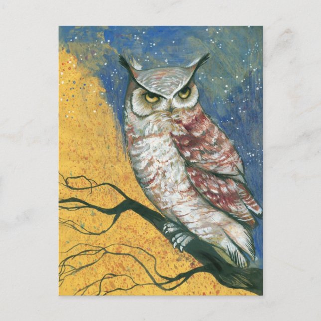 colorful owl postcard (Front)
