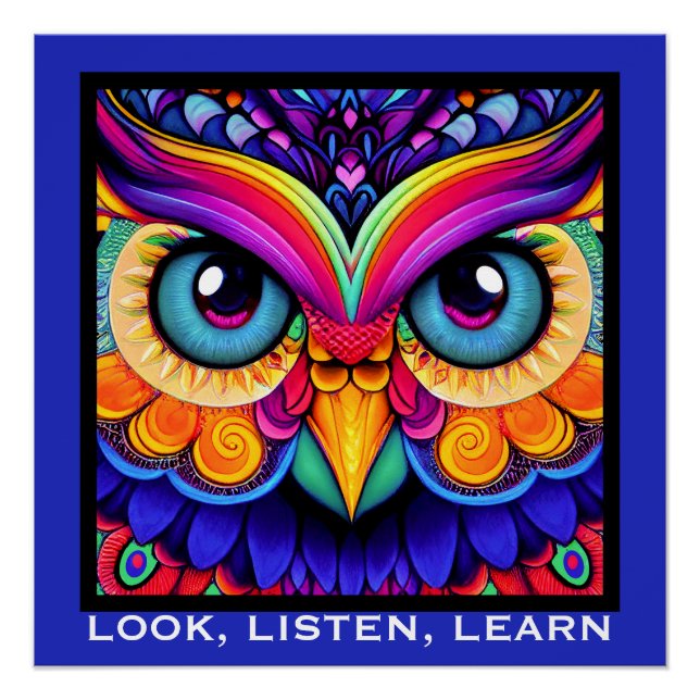 Colorful Owl  Poster (Front)
