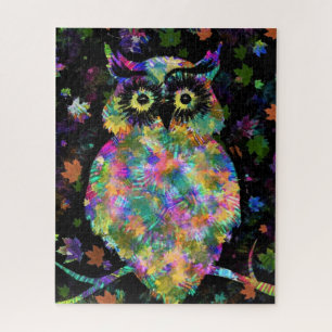 Colorful Owl Puzzle Art Painting