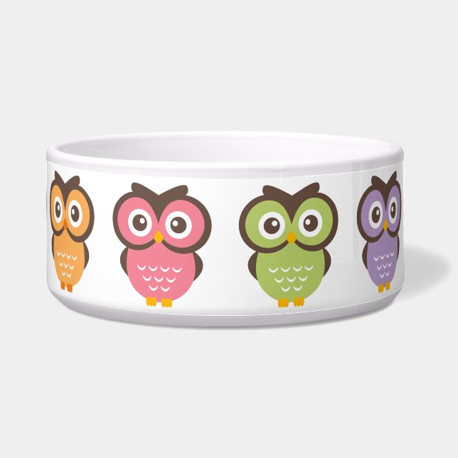 Colorful Owls Bowl (Front)