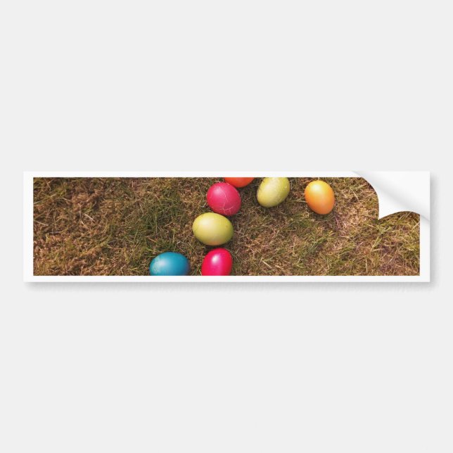 Colorful Painted Eggs in Garden, Easter Egg Bumper Sticker (Front)
