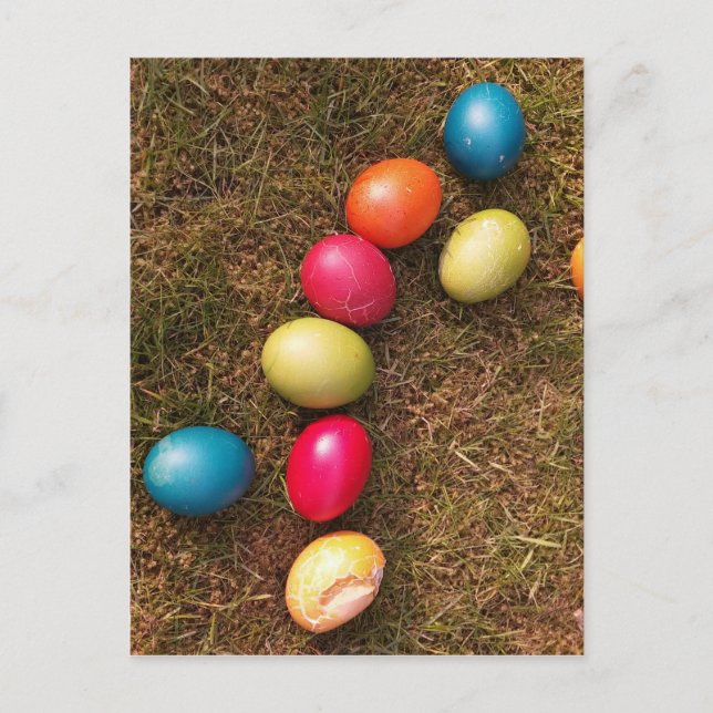 Colorful Painted Eggs in Garden, Easter Egg Holiday Postcard (Front)