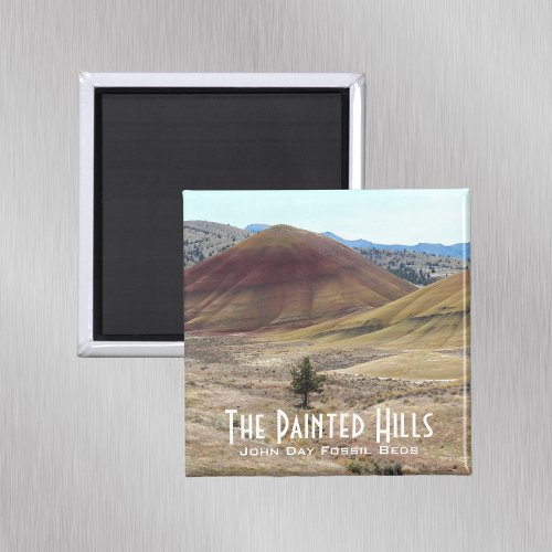 Colorful Painted Hills Landscape Magnet