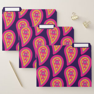 Colorful Paisley File Folder