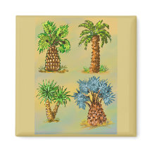 Colorful palm tree varieties.