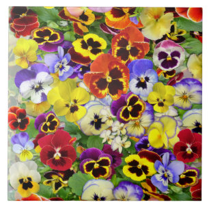 Colorful Pansies Ceramic Tile