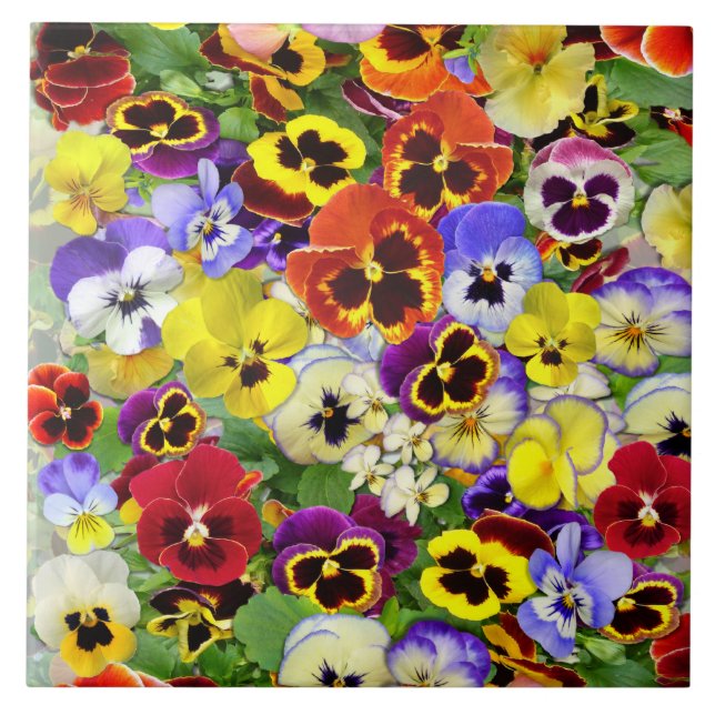 Colorful Pansies Ceramic Tile (Front)