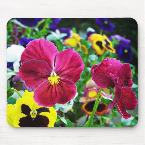 Colorful Pansies Mouse Pad