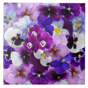 Colorful Pansies, pretty flowers, Ceramic Tile