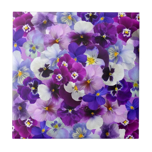 Colorful Pansies, Pretty Flowers, Ceramic Tile (Front)