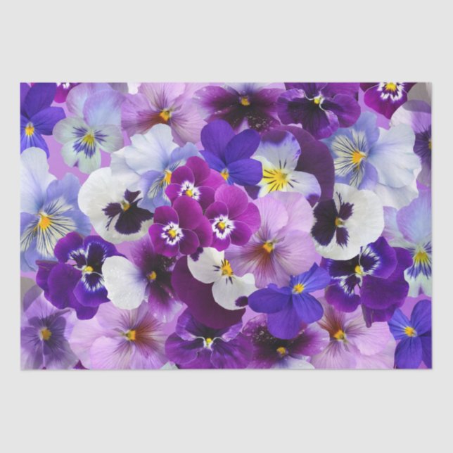 Colorful Pansies, Pretty Flowers, Tissue Paper (Front)