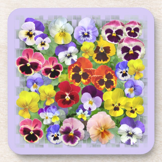 Colorful Pansy Display Beverage Coaster (Front)