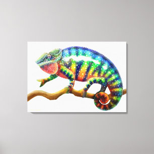 Colorful Panther Chameleon Lizard Wrapped Canvas