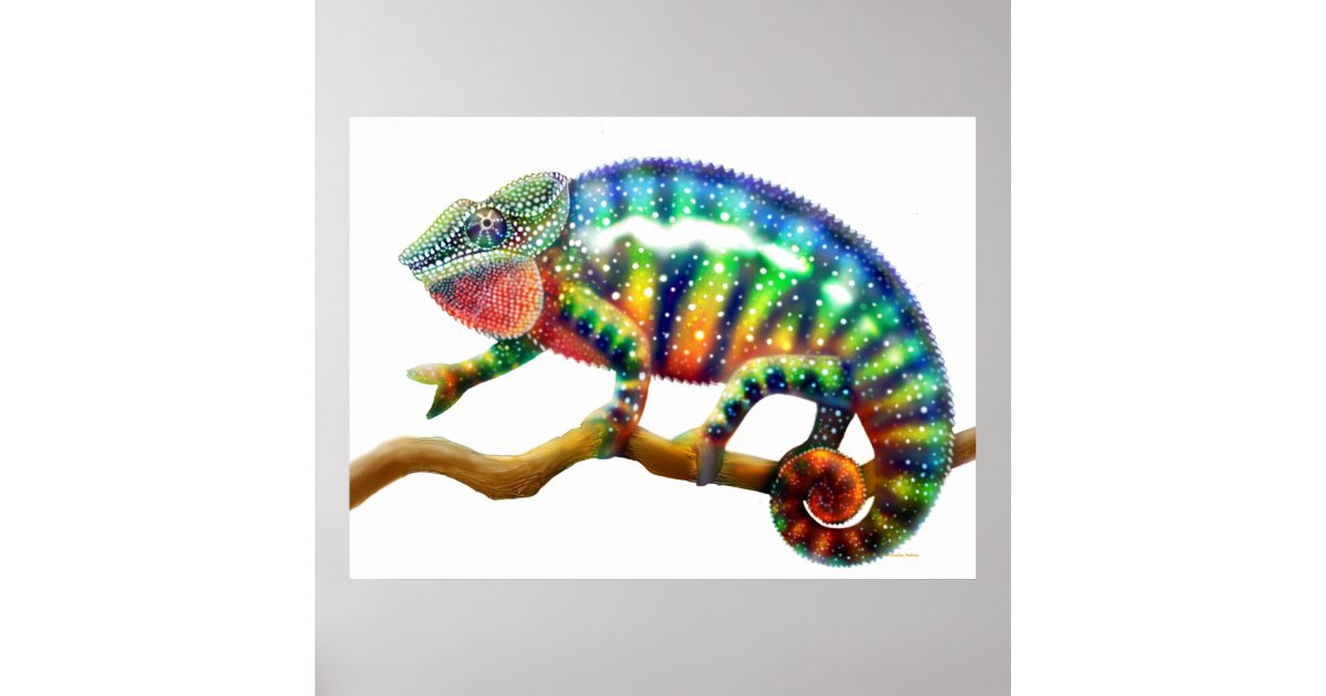 Panther Chameleon - Signed Fine Art Print