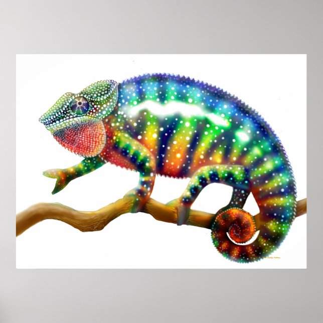 Colorful Panther Chameleon  Print (Front)