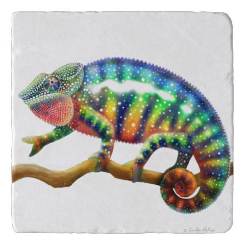 Colorful Panther Chameleon Stone Trivet