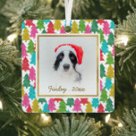 Colorful Paper Christmas Trees Pet Photo Metal Ornament<br><div class="desc">Add some fun, cheer, and color to your holiday celebrations with this fun pet photo Christmas ornament, featuring a pattern of overlapping colorful tissue paper Christmas trees and a faux gold foil frame. The design is the same on the front and the back. A white gradient overlay towards the bottom...</div>
