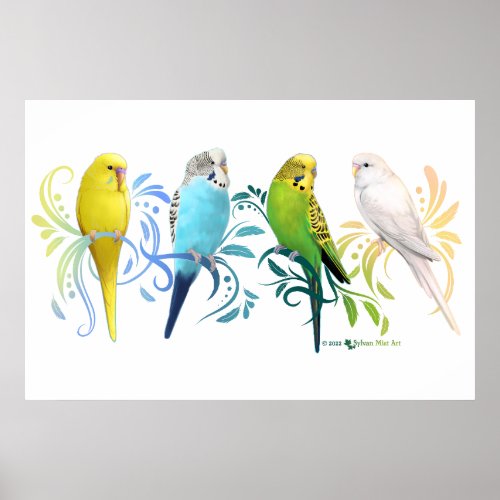 Colorful Parakeets Poster
