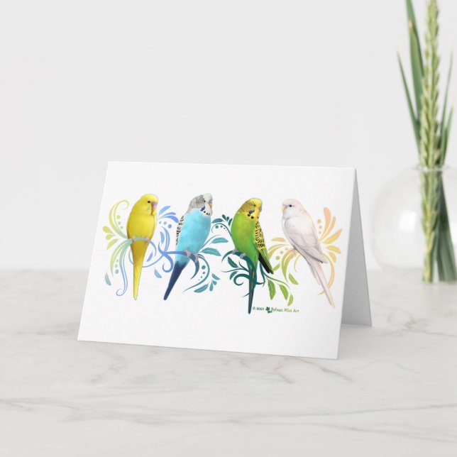Colorful Parakeets Thank You Card (Front)