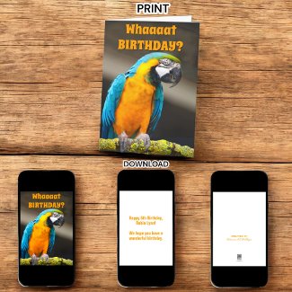 Colorful Parrot Any Birthday Folding Card Template