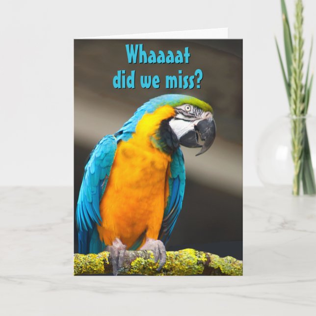 Colorful Parrot Belated Birthday Template (Front)