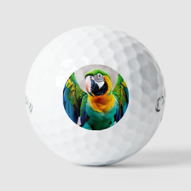 Colorful parrot bird golf balls (Front)