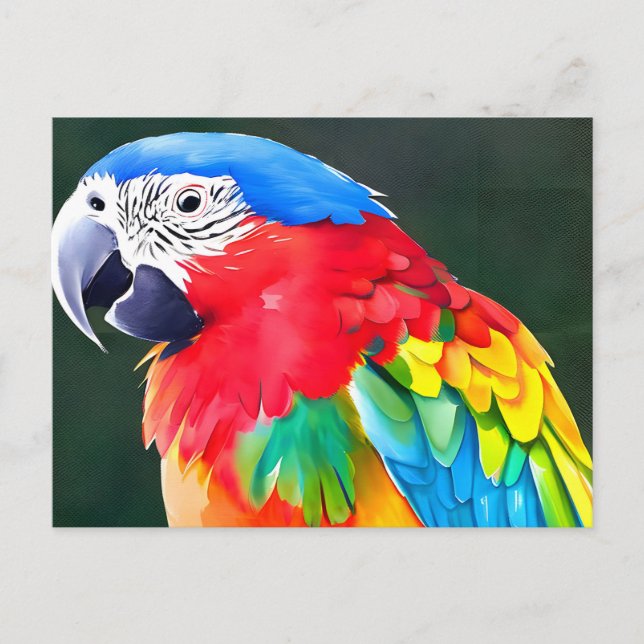 Colorful parrot bird postcard (Front)