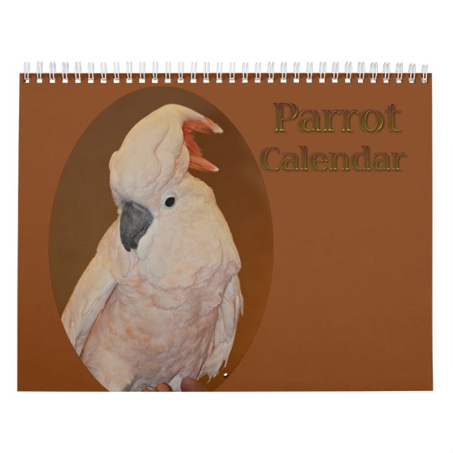 Colorful Parrot Calendar (Cover)