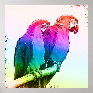 Colorful Parrot Couple Poster