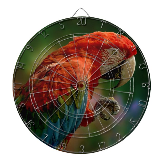 Colorful Parrot Dart Board (Front)