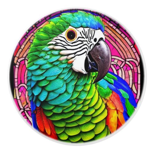 Colorful parrot illustration in front of pink back ceramic knob