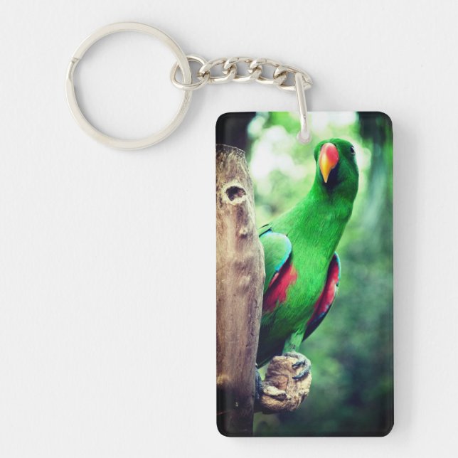 Colorful Parrot Macaw Bird Keychain (Front)