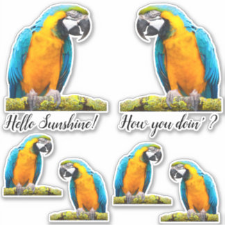Colorful Parrot On Lichen Branch Custom Sticker