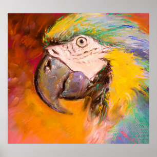 Colorful Parrot Pastel Painting Poster