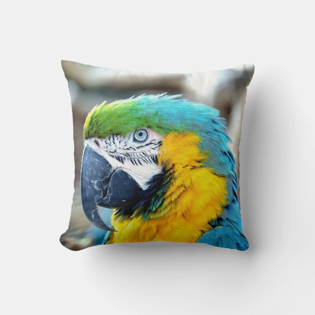 Colorful Parrot - Pillow (Front)