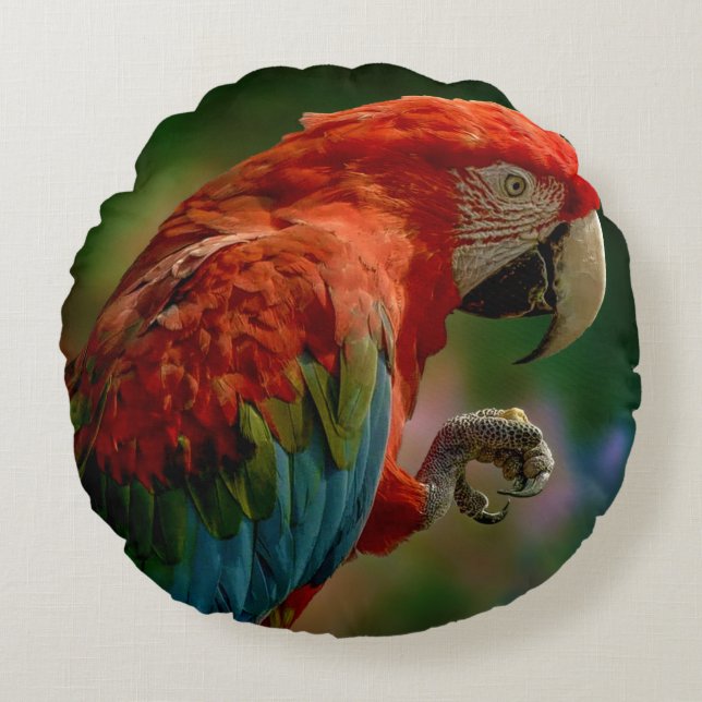 Colorful Parrot Pillow (Front)