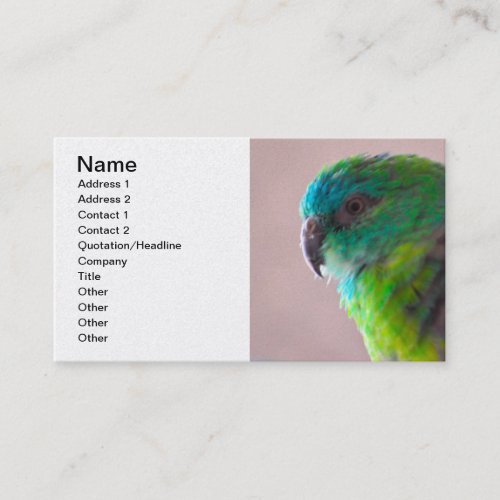 Colorful_parrot_plumage707 PARROT BIRD EXOTIC TEAL Business Card