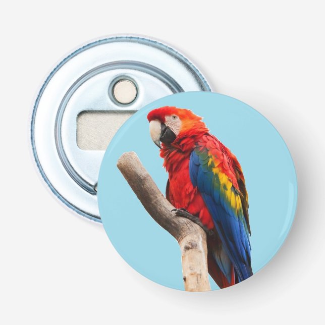 Colorful Parrot Portrait Photo Bottle Opener (Front)