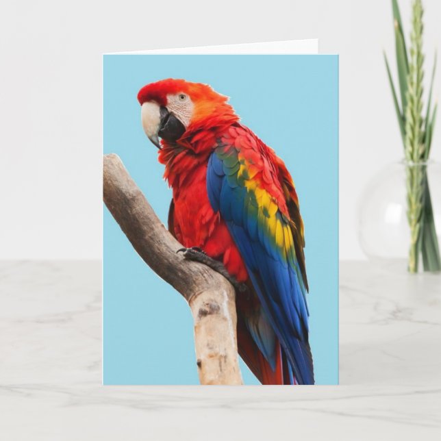 Colorful Parrot Portrait Photo Card (Front)