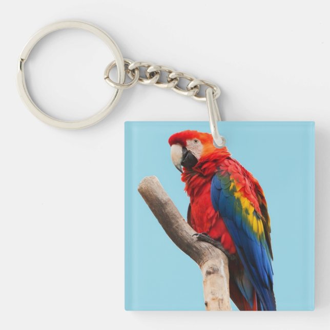 Colorful Parrot Portrait Photo Keychain (Front)