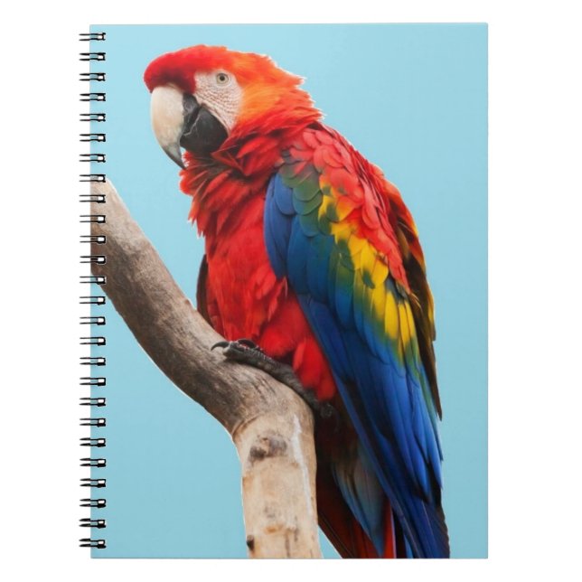 Colorful Parrot Portrait Photo Notebook (Front)