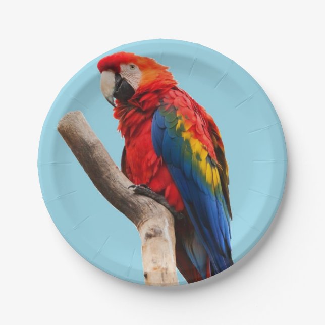 Colorful Parrot Portrait Photo Paper Plates (Front)