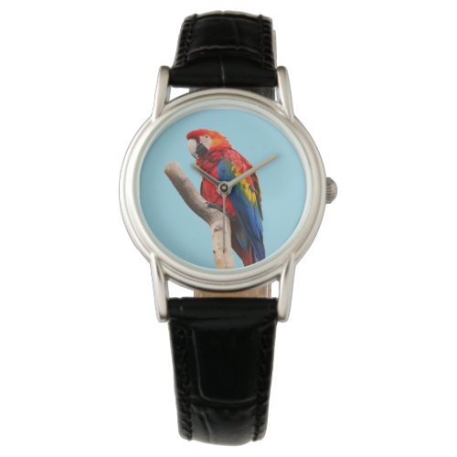 Colorful Parrot Portrait Photo Watch