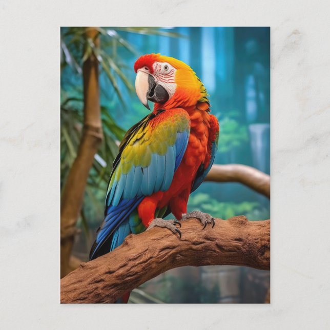 Colorful Parrot Postcard (Front)